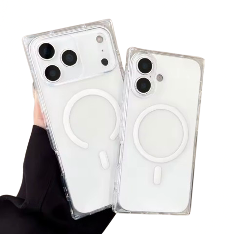 Ice Cube MagSafe Case